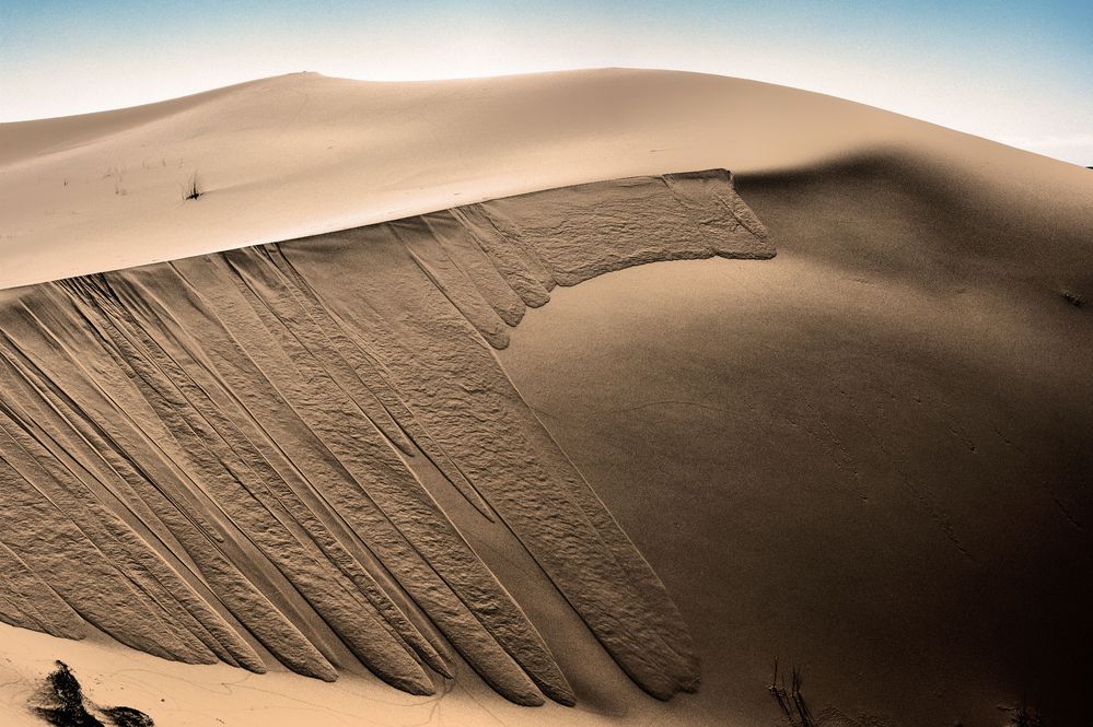 " Structure of desert"