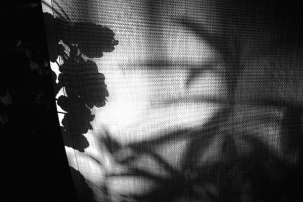 Structures of nature_5