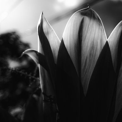 Structures of nature_6