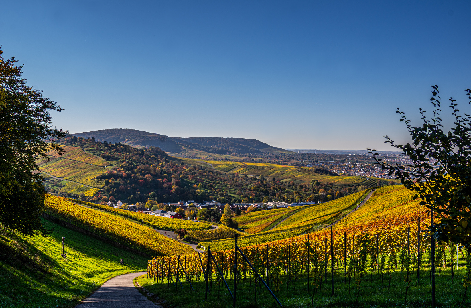 Strümpfelbach