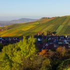 Strümpfelbach im Remstal  