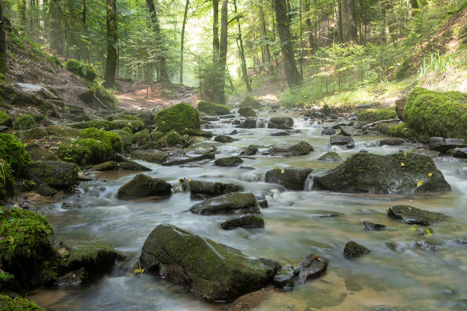 Strümpfelbachtal