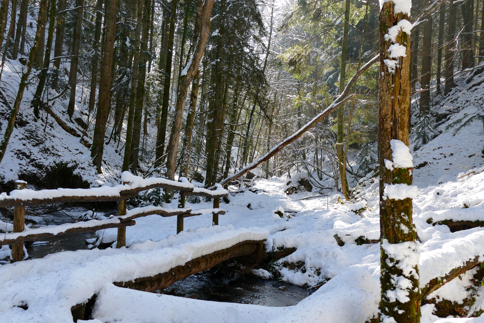 Strümpfelbachtal im Winter