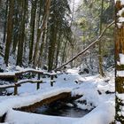 Strümpfelbachtal im Winter