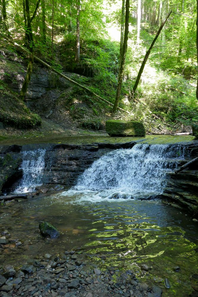 Strümpfelbachtal Nr. 1