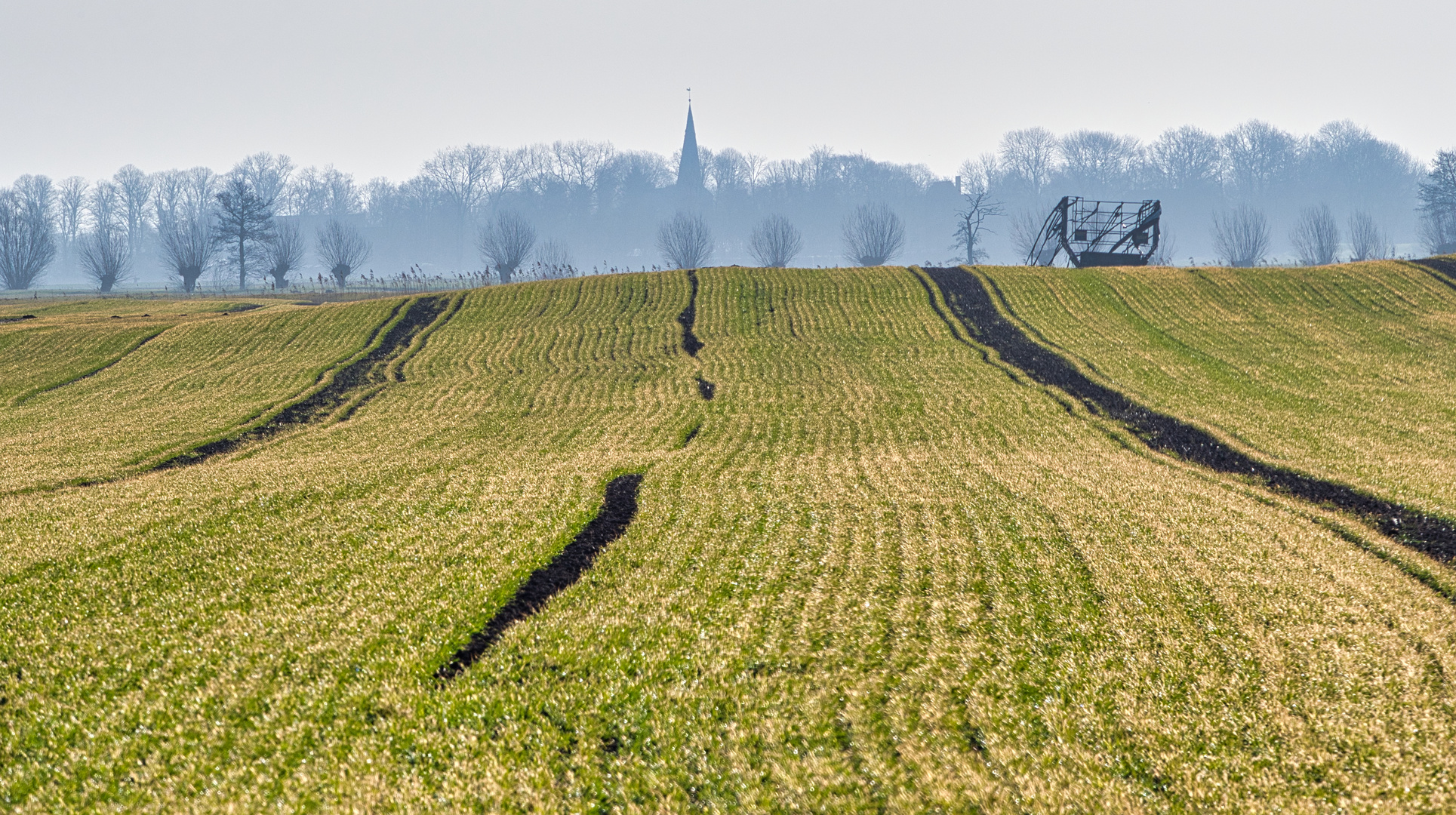 Struktur im Leben