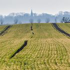 Struktur im Leben