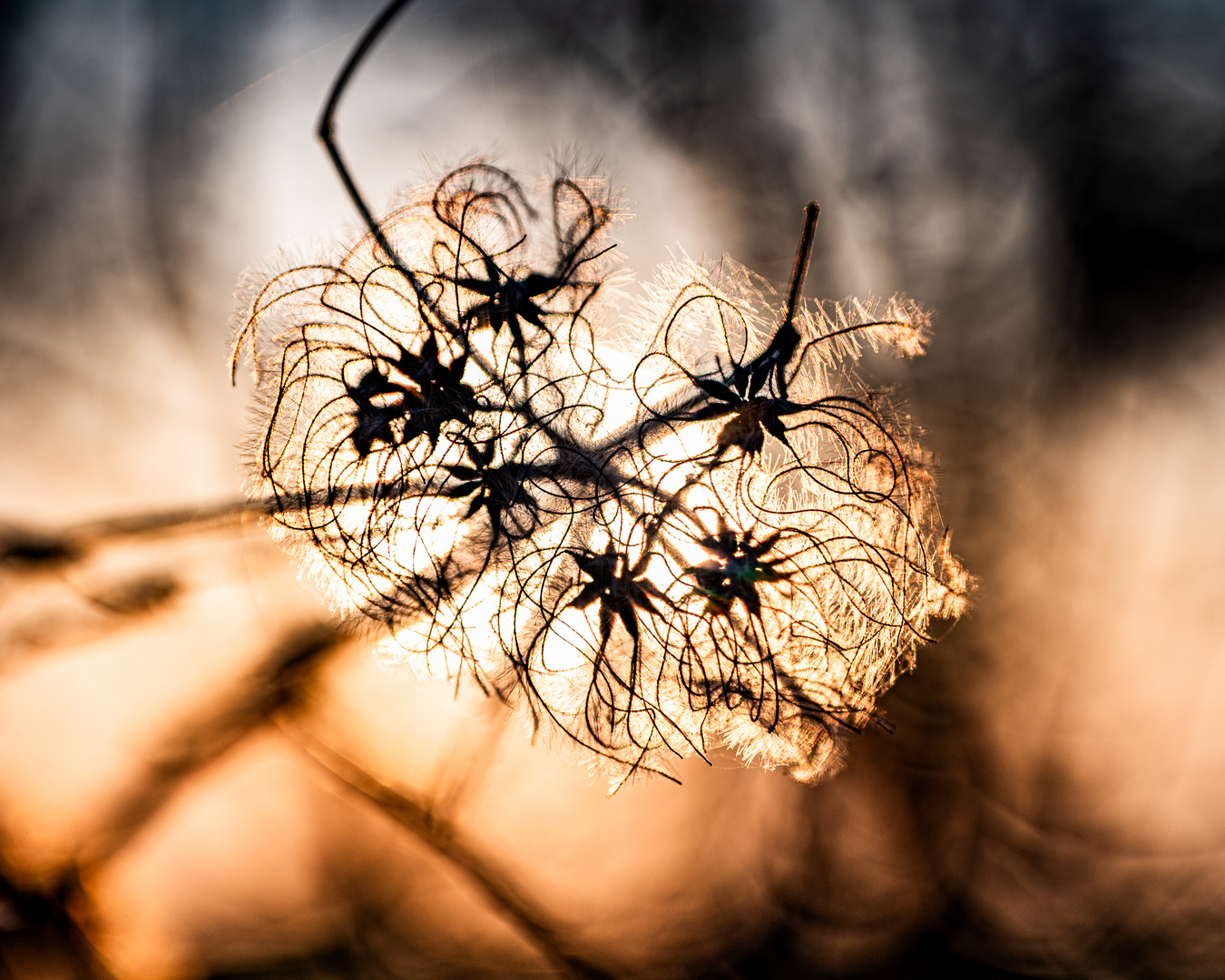 Struktur im Licht