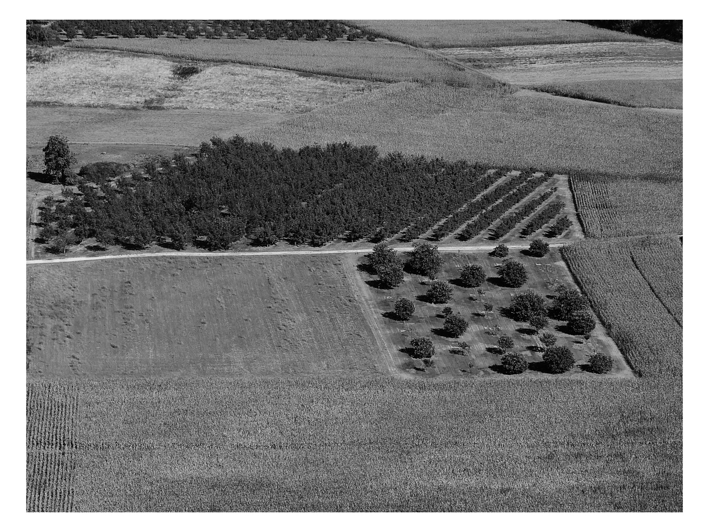 Struktur in der Landschaft