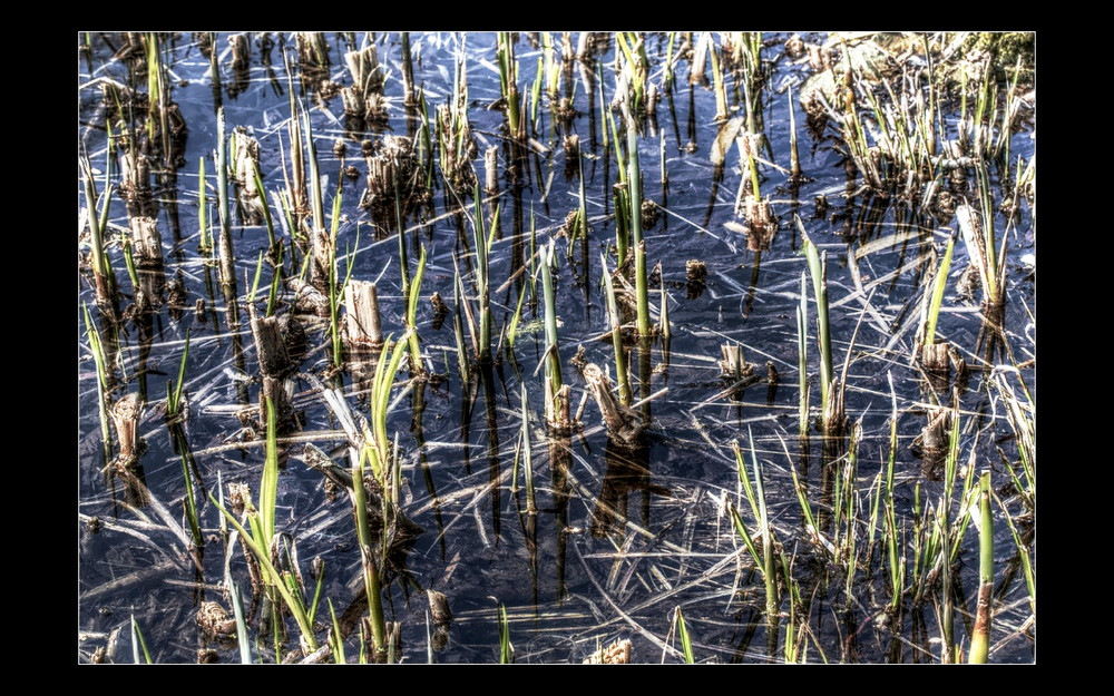 Struktur pur; Natur