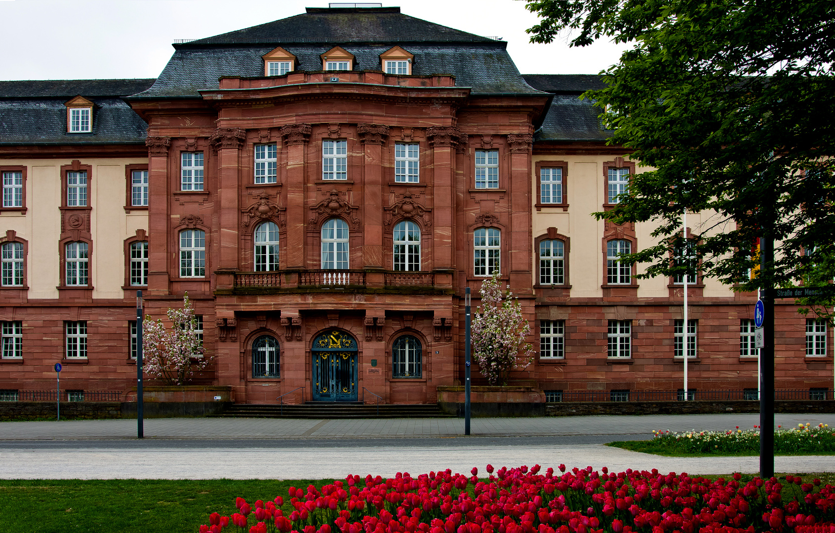 Struktur und Genehmigungsbehörde Nord, Koblenz