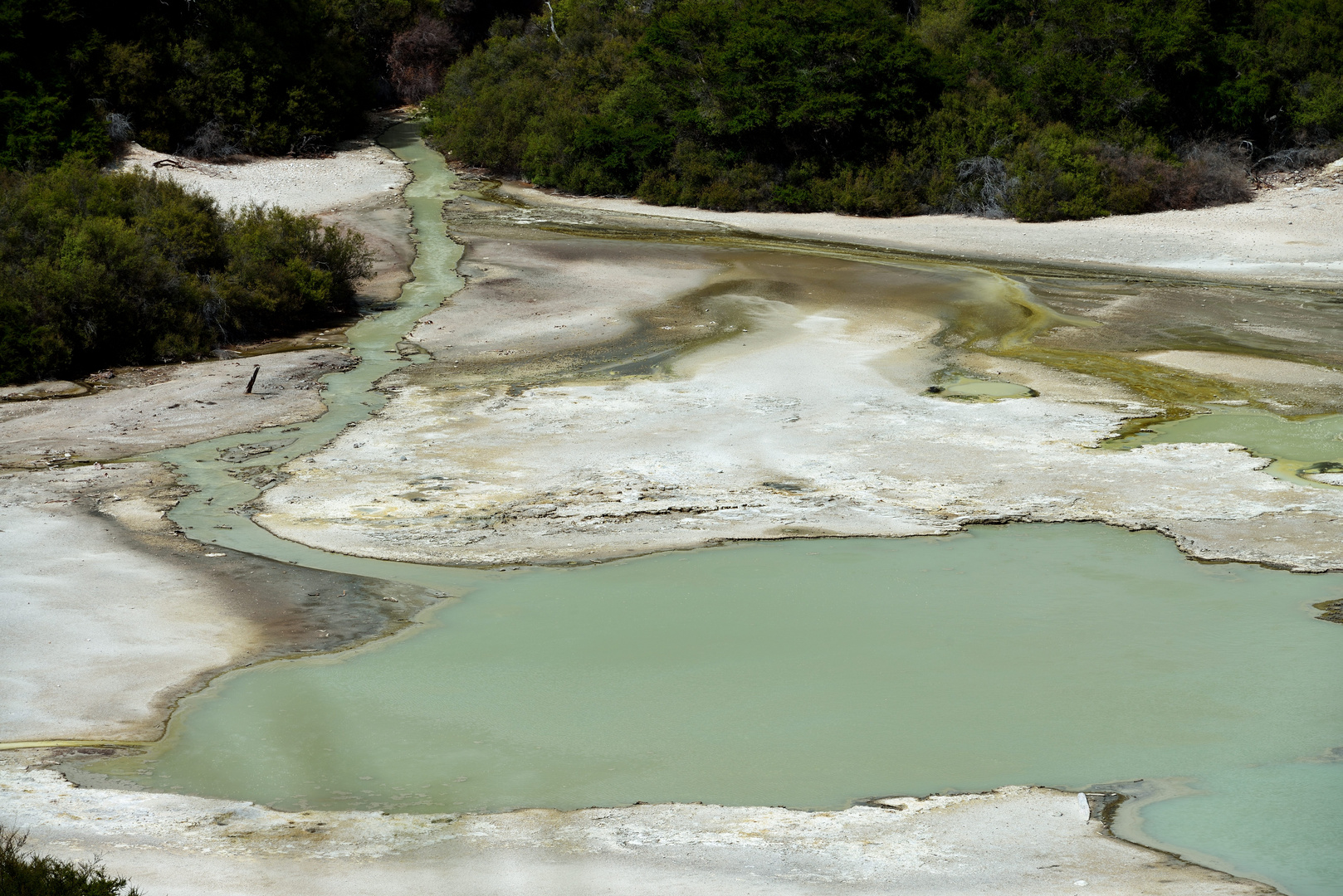 Strukturen 1 im Wai-O-Tapu