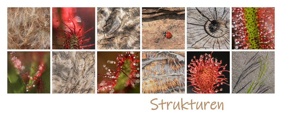 Strukturen