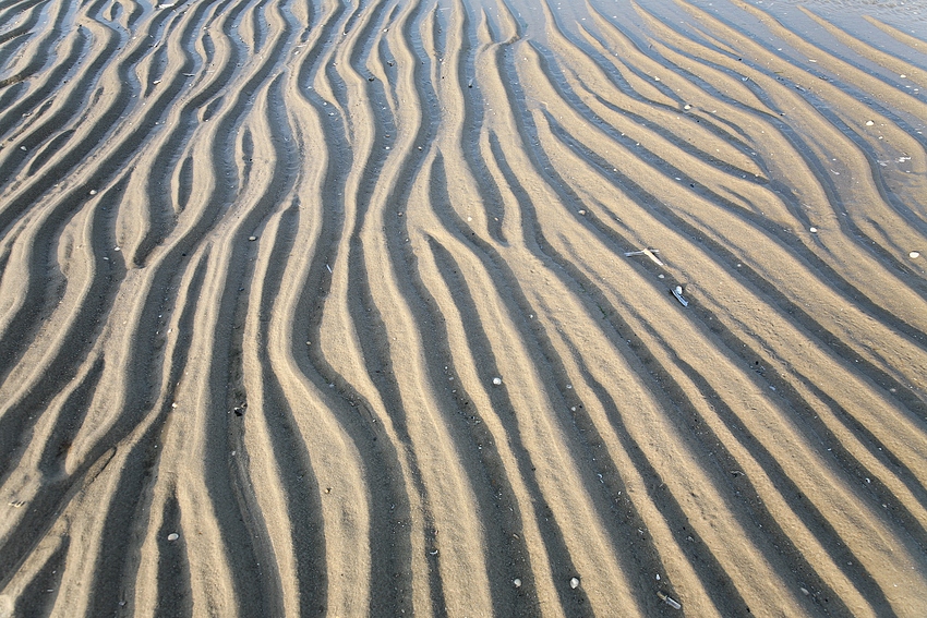 Strukturen am Strand bei Ebbe 3