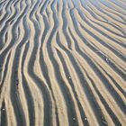 Strukturen am Strand bei Ebbe 3