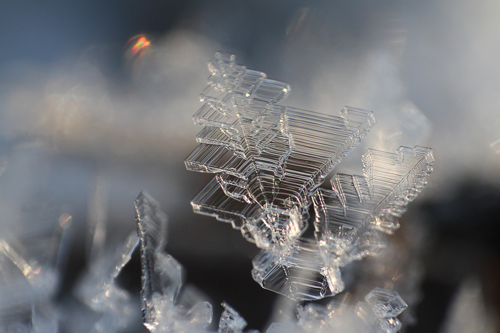 Strukturen des Winters