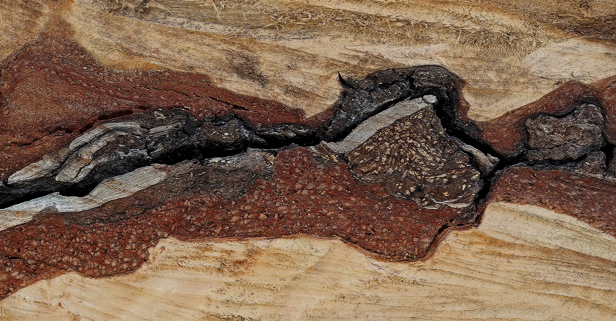 Strukturen im Brennholz, ein Brandkrustenpilz! * - Un fragment de bois scié, préparé pour le feu ..!