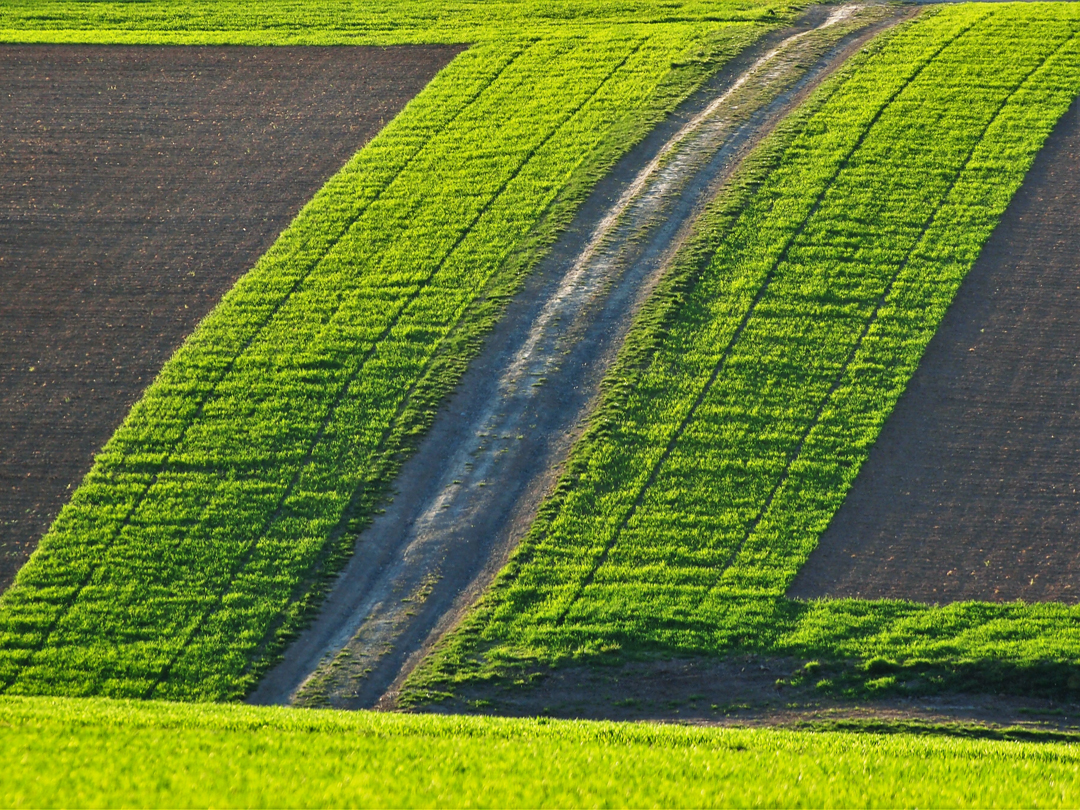 Strukturen im Feld