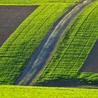 Strukturen im Feld