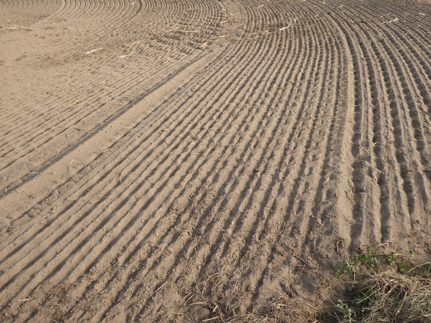 Strukturen im Feld