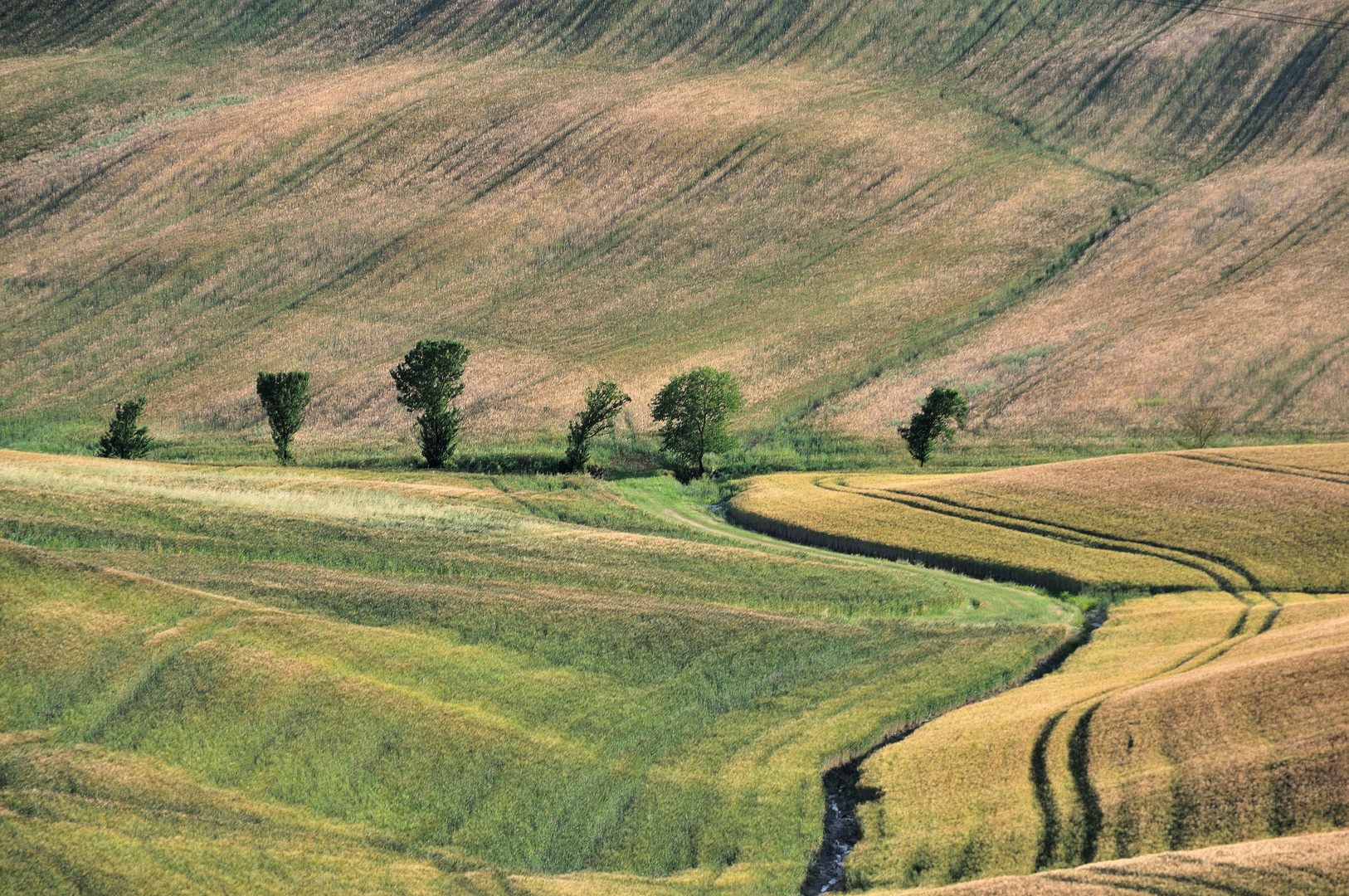 Strukturen im Feld