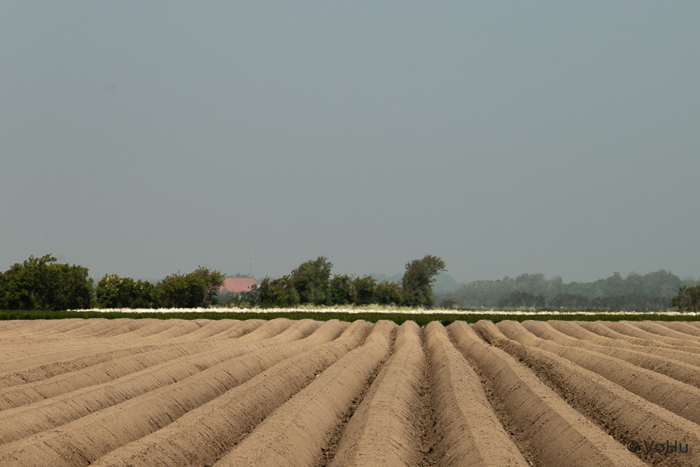 Strukturen im Feld