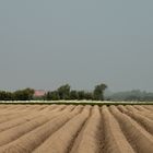 Strukturen im Feld