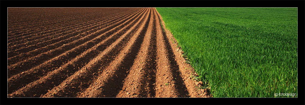 Strukturen im Frühling