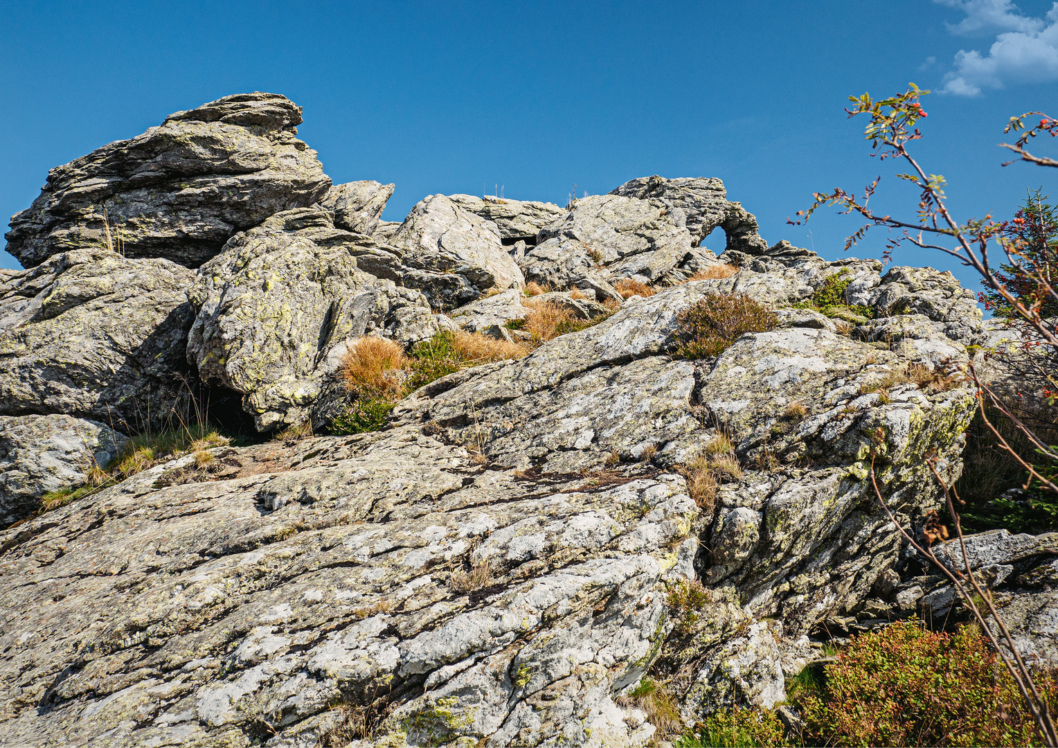 Strukturen im Gneis