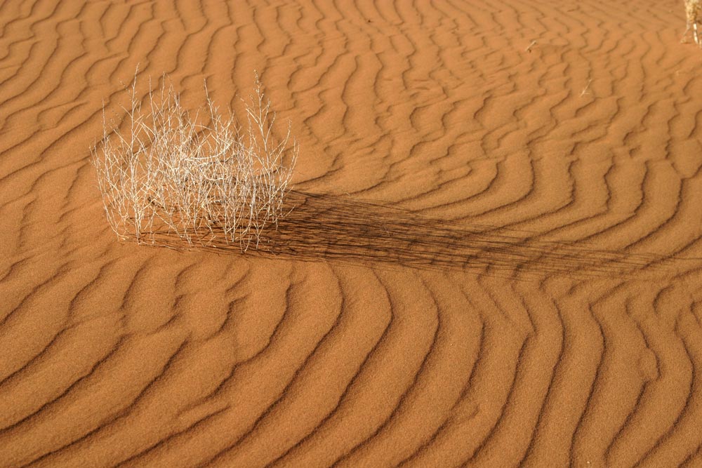 Strukturen im Sand