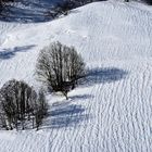 Strukturen im Schnee