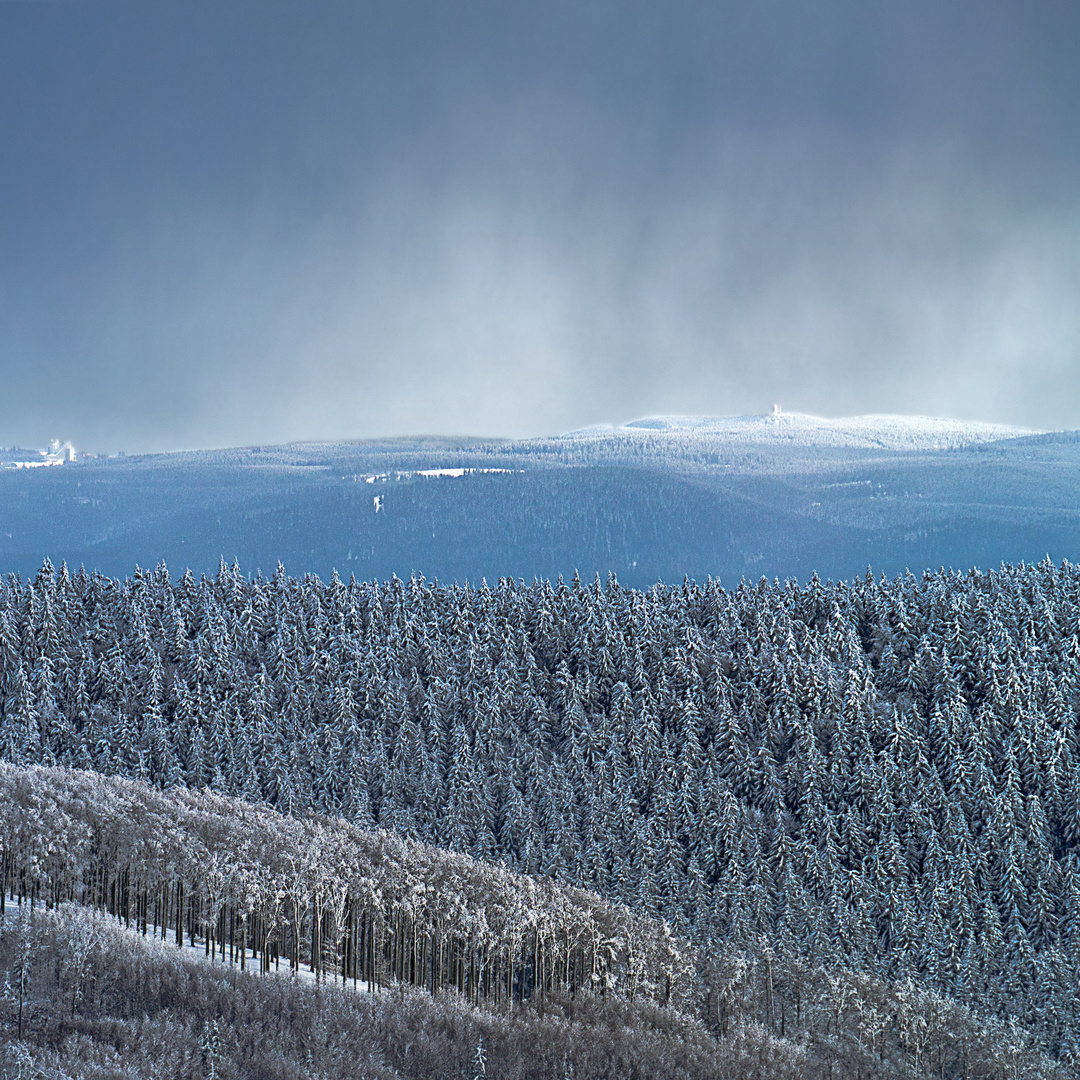 Strukturen im Thüringer Wald