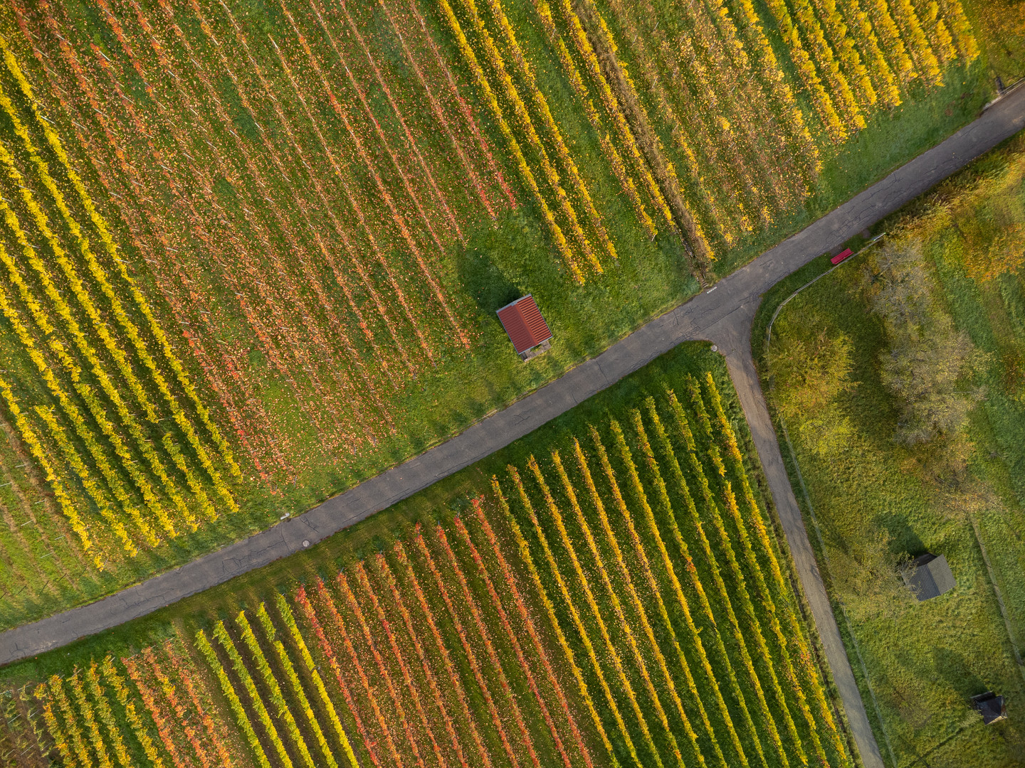 Strukturen im Weinberg