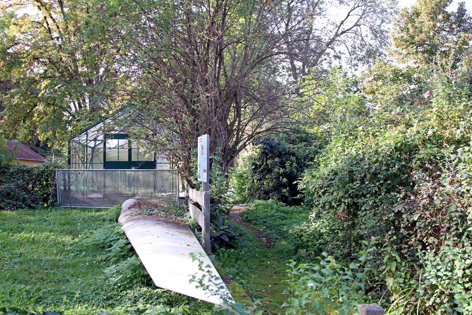 Strukturen im Zoo Heidelberg