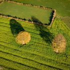 Strukturen in Feld, Wald, Wiese