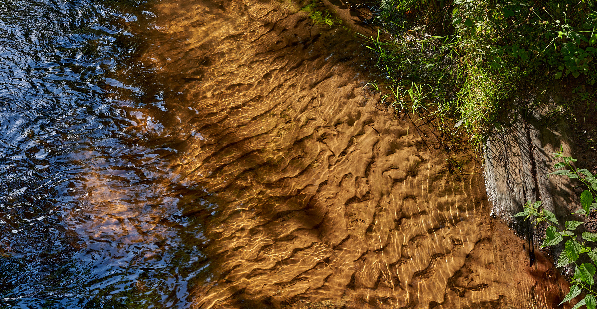 Strukturen über Wasser, unter Wasser und an Land, ein...