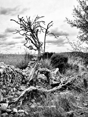 Strukturen und Kontraste