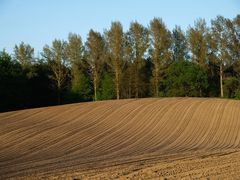 Strukturierte Landschaft