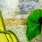 STRUKTURIERTES BLUMENBILD