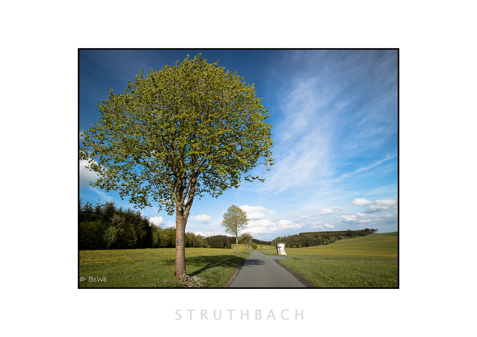 Struthbach