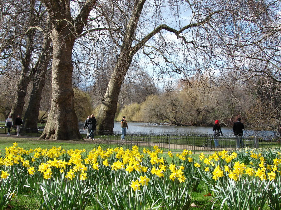 St's James Park