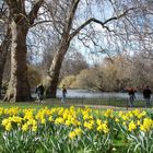 St's James Park