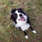 User Profile Photo