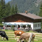 Stubaital: Issenangeralm im Pinnistal