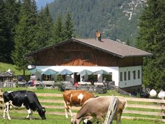 Stubaital: Issenangeralm im Pinnistal