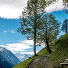 Stubaital mit Sicht auf Stubaigletscher