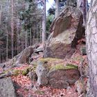 Stubenberg Grenze zu Schönegg: ein besonderes Gestein?