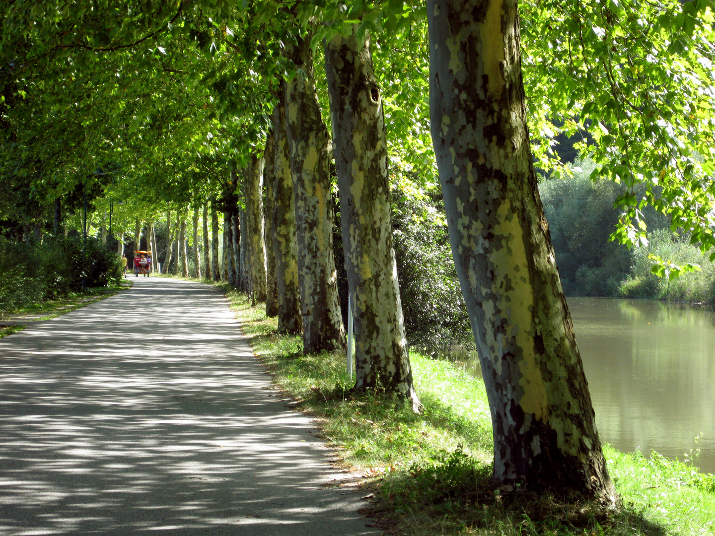 Stubenbergweg