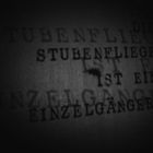 Stubenfliege