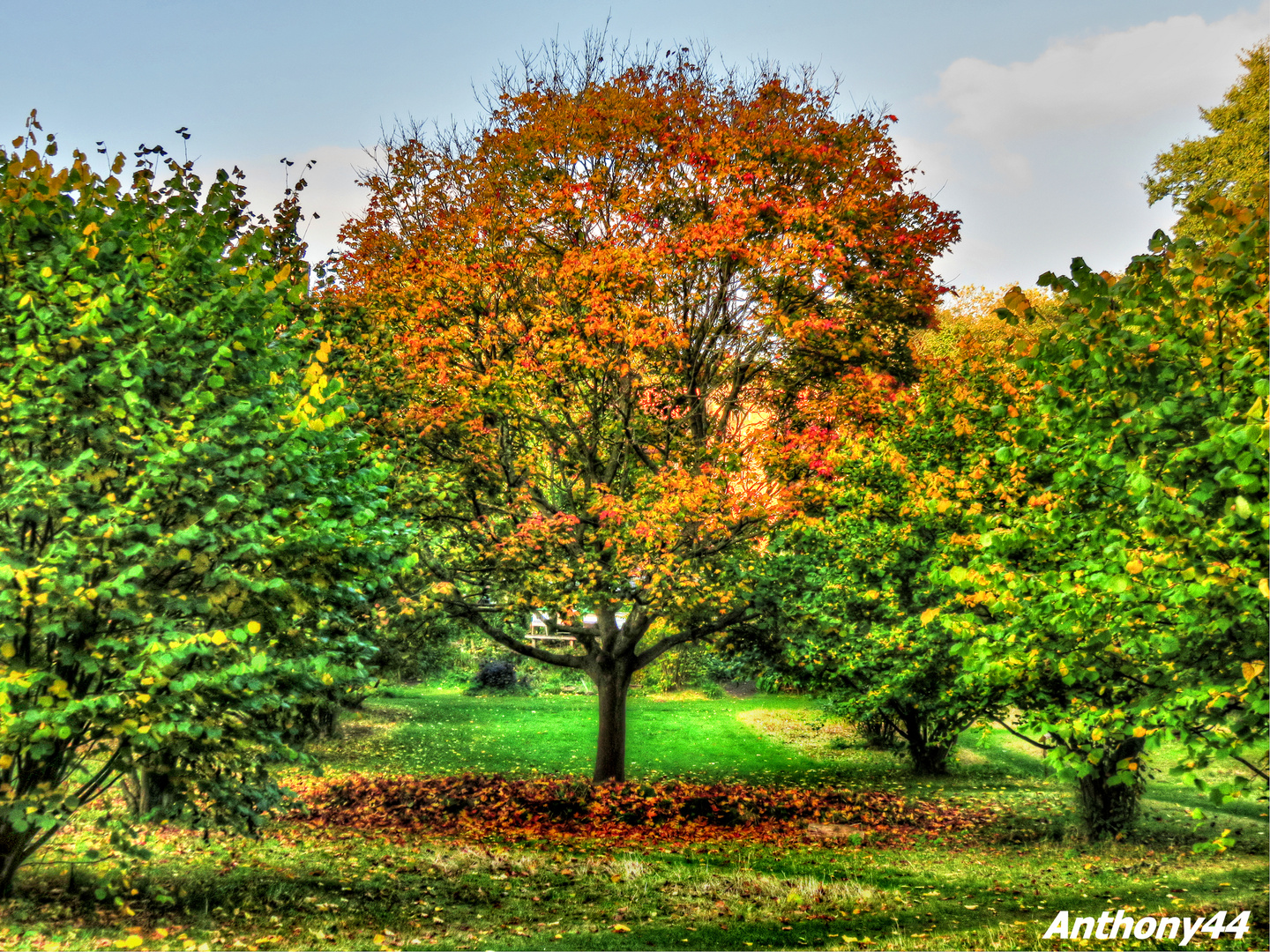 Stuck In The Middle Of Autumn